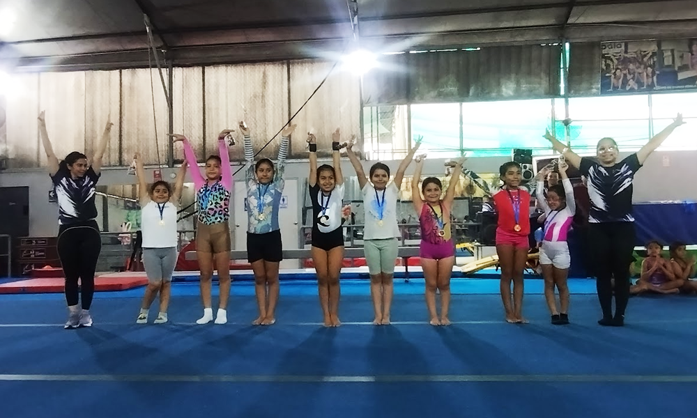 escuela de gimnasia koala