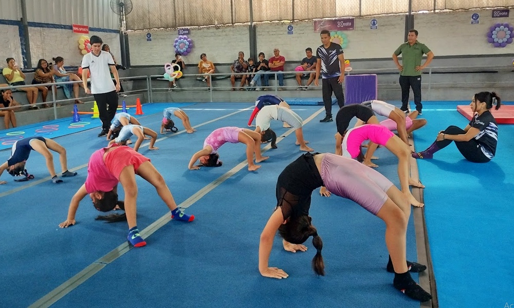 escuela de gimnasia koala