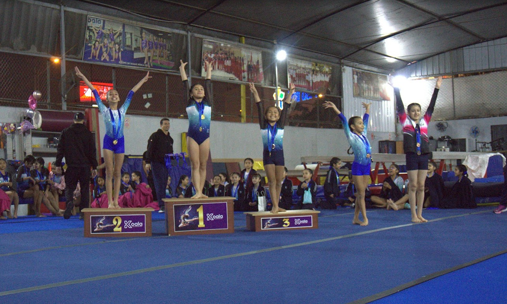 escuela de gimnasia koala