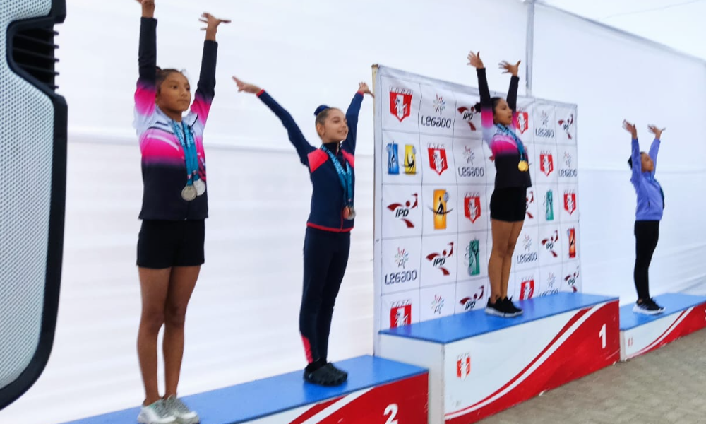 escuela de gimnasia koala