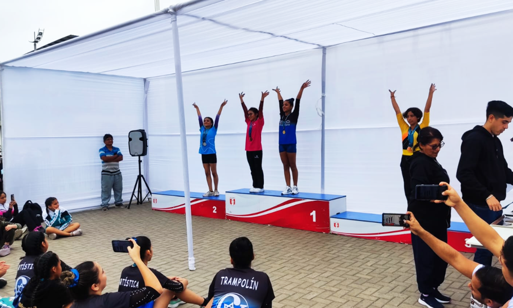 escuela de gimnasia koala