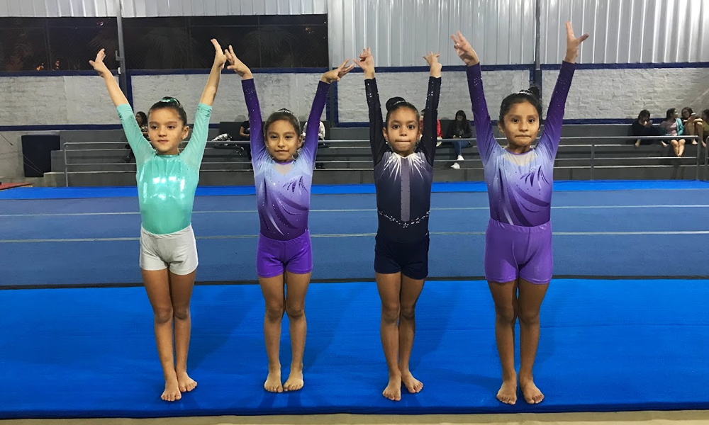 escuela de gimnasia koala