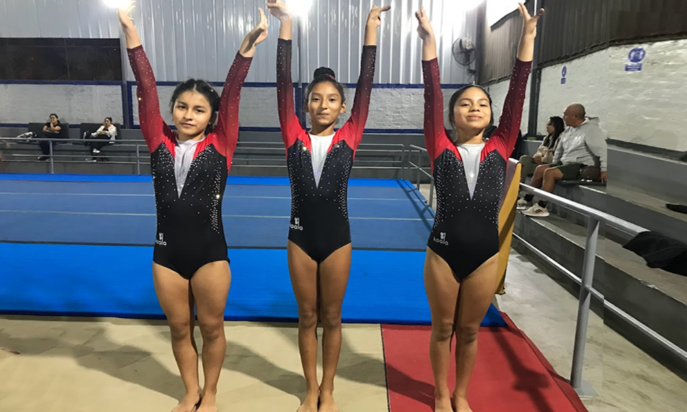 escuela de gimnasia koala