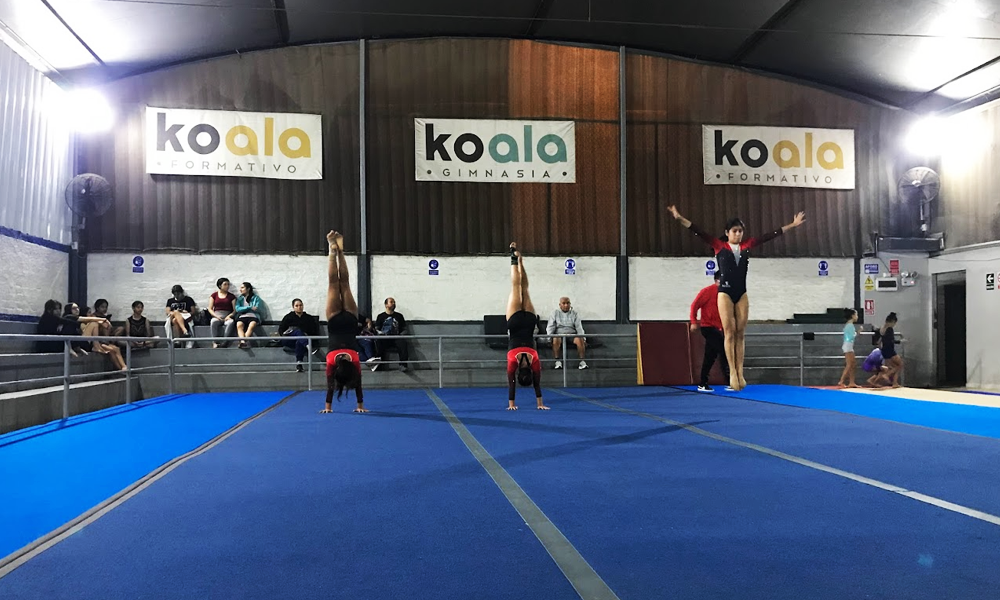 escuela de gimnasia koala