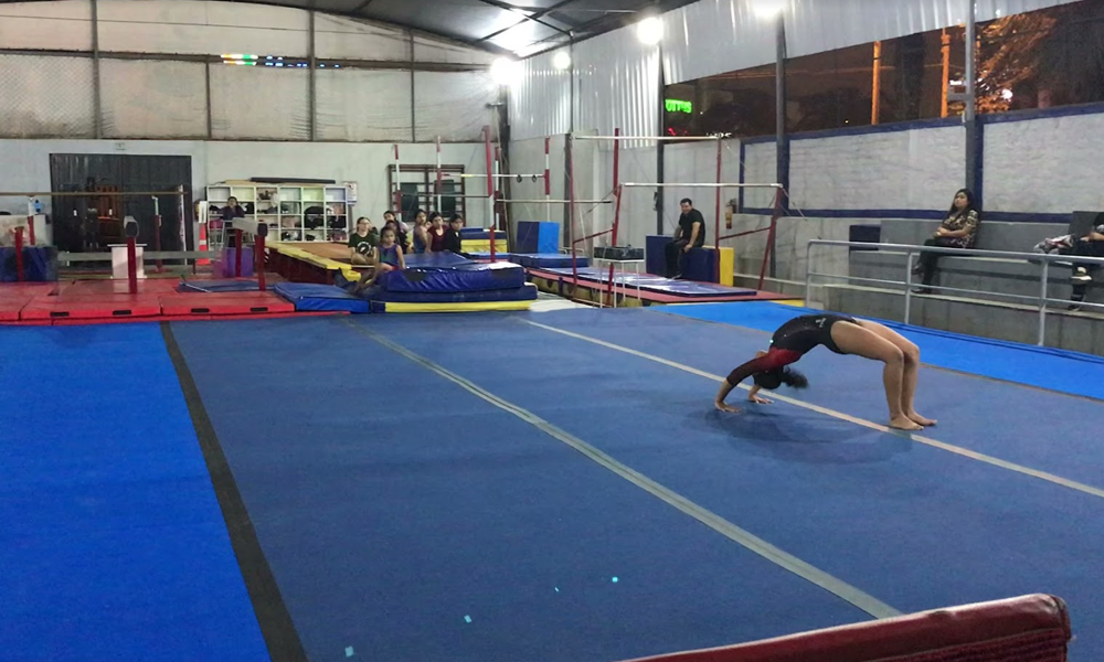 escuela de gimnasia koala