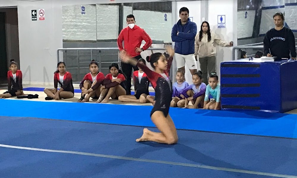 escuela de gimnasia koala