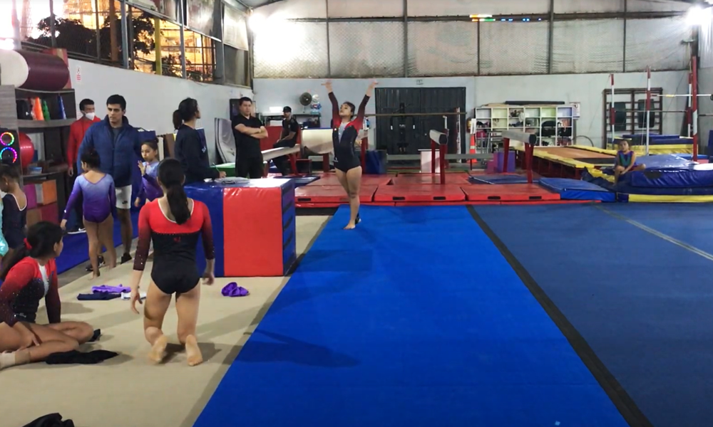 escuela de gimnasia koala