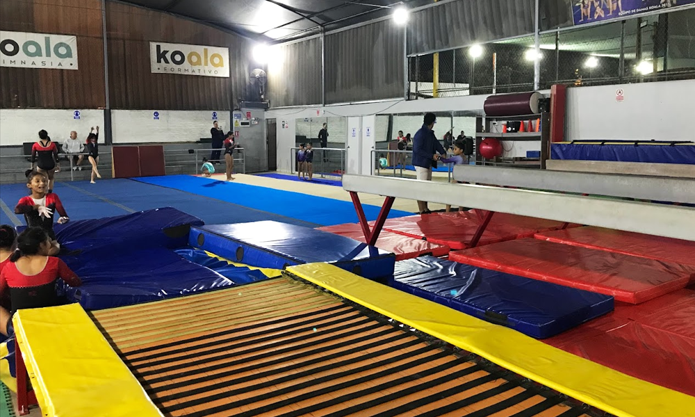 escuela de gimnasia koala