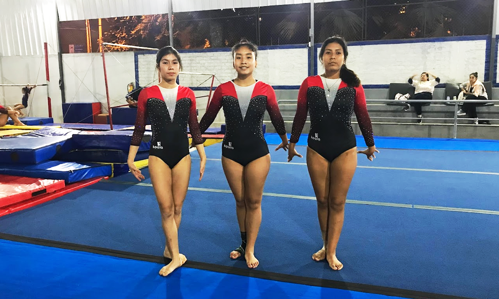 escuela de gimnasia koala