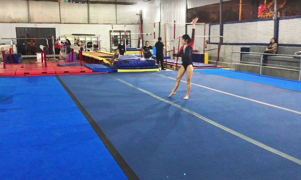 escuela de gimnasia koala